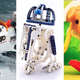 Illustration for article titled The 16 Most Awful Lego Sets Ever Assembled